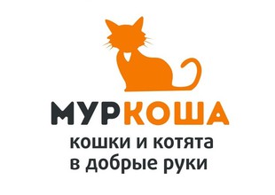 Приют для кошек Муркоша — логотип