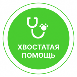Ветеринарная клиника Хвостатая помощь