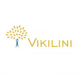  Клининговая компания Vikilini