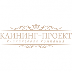 Клининг-проект: клининговая компания