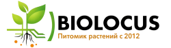 Питомник растений Биолокус Плант Питомник растений Биолокус Плант