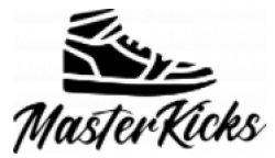 Бизнес по франшизе MASTERKICKS