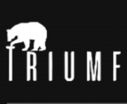 Детская футбольная школа TRIUMF (Москва)