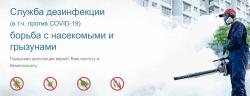 Экосити