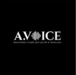 A. Voice