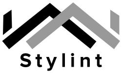 Компания «Stylint»