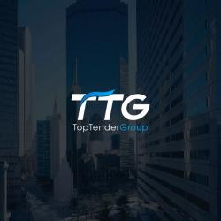 TopTenderGroup франшиза